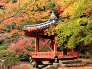 p_̍gtJiR⍑sj̓eʐ^1