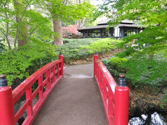 뉀̍g_{뉀izej[I[^jj