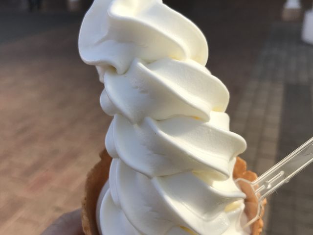 �̂肳��̐��c��ߖq��  ��t���O�X�̓��e�ʐ^1