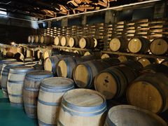 lnsñf𑢂ւ̓eʐ^1