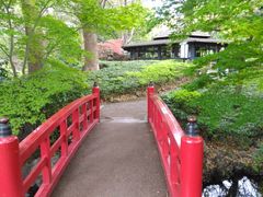 gg̓{뉀izej[I[^jjւ̓eʐ^1