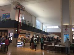 �g��������̓�ʓ��Ί_��`�ւ̓��e�ʐ^1