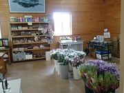 񂿂񂳂̃^Z̓m̓eʐ^1