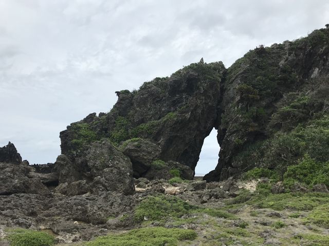 �~�[�t�K�[_�~�[�t�K�[