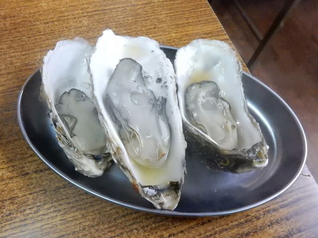 �������y�R��_���{�C�����ȊX