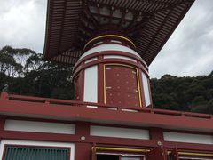 poporon����̖򉤎��@��_���@�ւ̓��e�ʐ^1