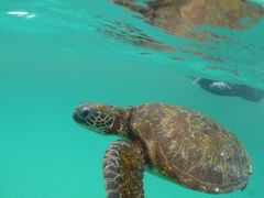 Ђ邳̉vKChNuւ̓eʐ^1