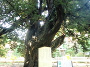 Kuda12����̃r���N�V���̌Ö�(�������j�̓��e�ʐ^1