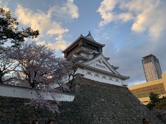 pattipotti55̏qւ̓eʐ^1