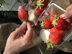 ݂݂̃C`SnEX̉ւ̓eʐ^1