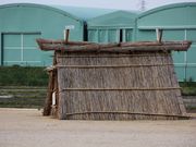 YanwenlïɐՂ̓eʐ^1