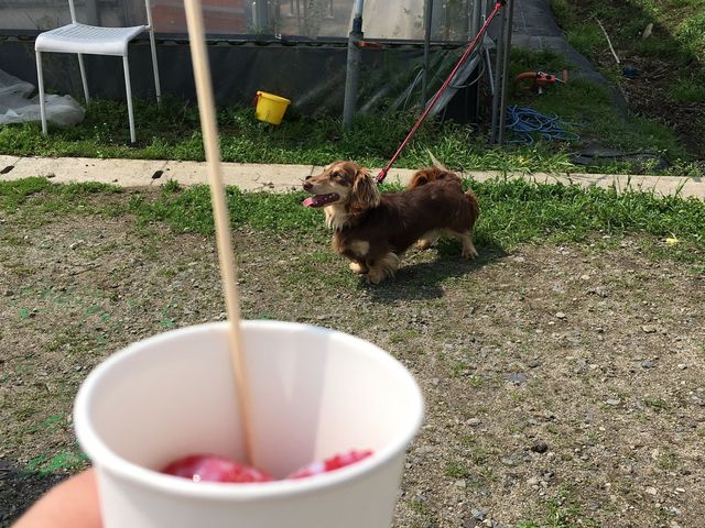 �����R���܂�_�悩���񂢂���