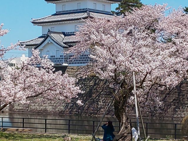 xzɌ̂YłAɂ͓܂B_Vc