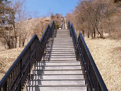 ��������񂳂�̓����s���~�����L�X�Q�����n�@���~�������X�g�n�E�X�ւ̓��e�ʐ^1