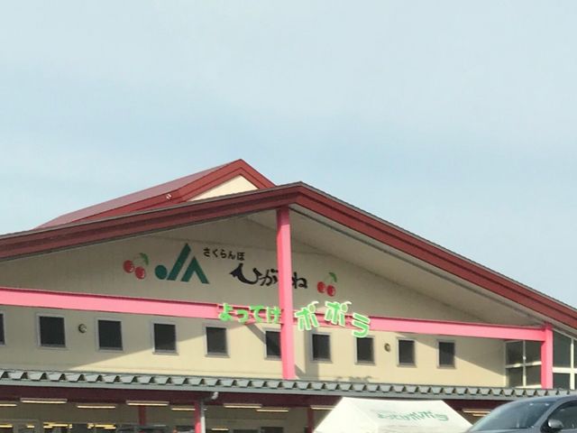 ʐ^_i`ڂЂ˃t@[}[Y}[PbgĂ||