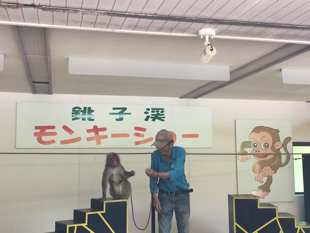 �t�툤_���������q�k���R�������@�����̍�