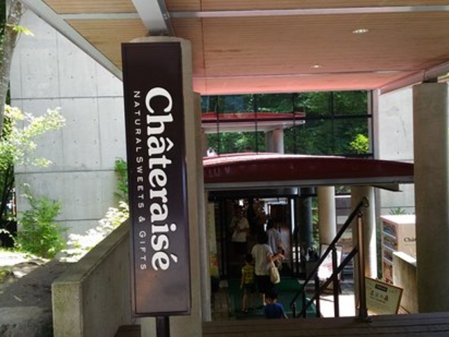 �������߂ł��I_�V���g���[�[�@���B�H��