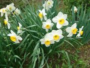 ₳̓VtR@sY̓̓eʐ^1