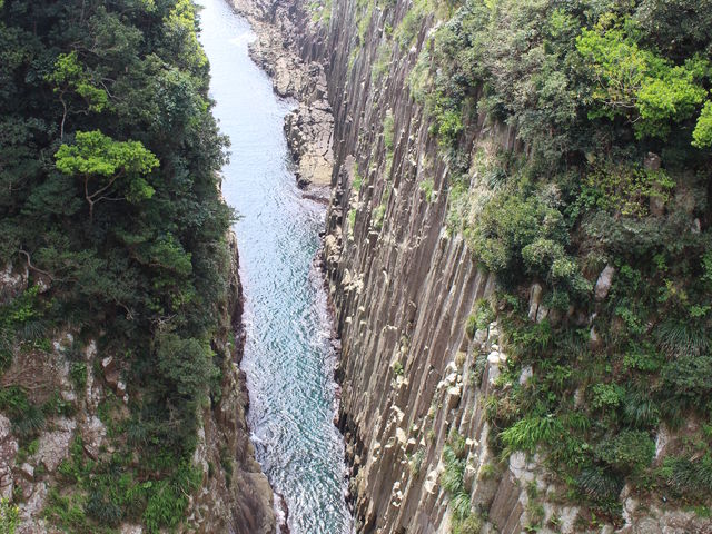 �n�P�w�̒f�R_�n���w