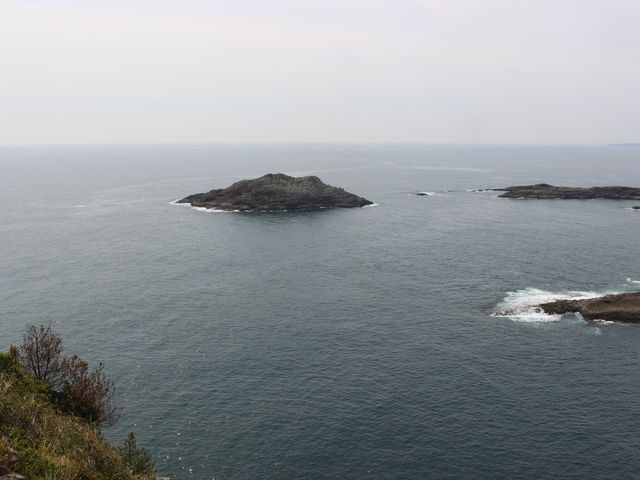 �����猩���C_�n���w