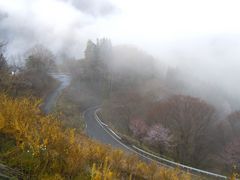 okaponさんの大望峠　展望台の投稿写真2