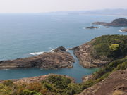 ����������̓��L�C�݂̓��e�ʐ^1