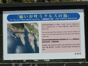 ����������̓��L�C�݂̓��e�ʐ^2