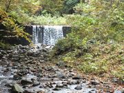 jkammy07̎R̂ӂ邳Ƒ̓eʐ^2