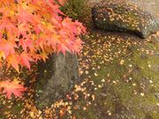 jkammy07̎R̂ӂ邳Ƒ̓eʐ^3