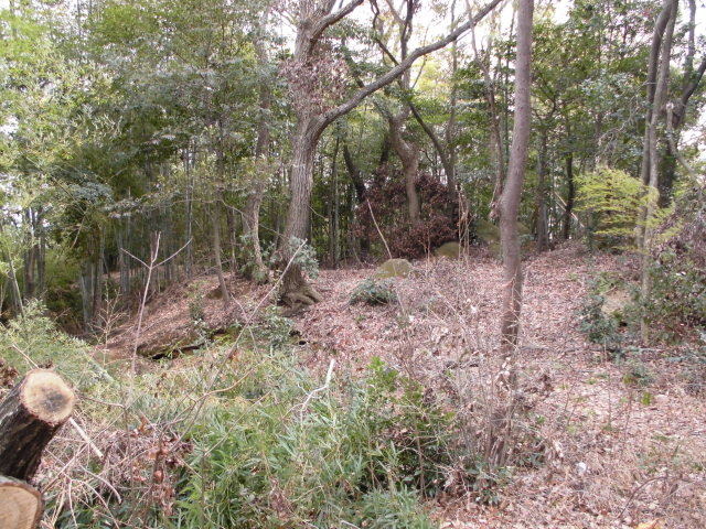 ���R�Ԑ�_�F��_�Ђ̌ܖ���