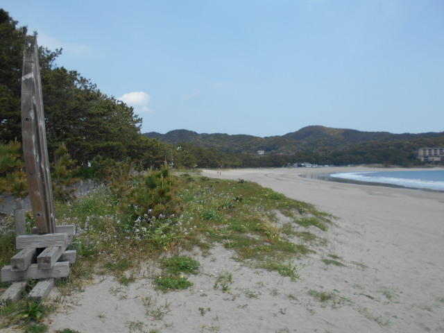 �|���l�C������_�|�P�l�C������