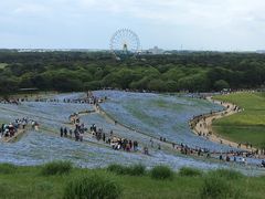 �A�W�̃^�^�L����̍��c�Ђ����C�l�����ւ̓��e�ʐ^1