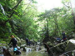 Ƃ܂邳̖` ꑍAEghAcA[Xւ̓eʐ^1