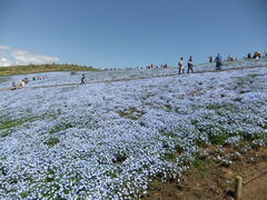 ����������̍��c�Ђ����C�l�����ւ̓��e�ʐ^1