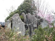 Ƃ-񂳂̌F_Ђ̌ܖ̓eʐ^5