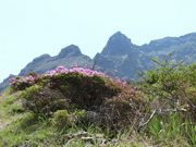 ނ炳񂳂̐同̃~}LV}Ex̃~}LV}̓eʐ^2