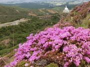 ނ炳񂳂̐同̃~}LV}Ex̃~}LV}̓eʐ^3