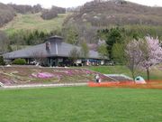 񂳂̓쒬LgEVXьƑs̓eʐ^4