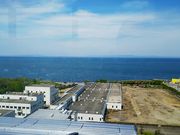 ˂񂳂̂肻h[̓eʐ^4