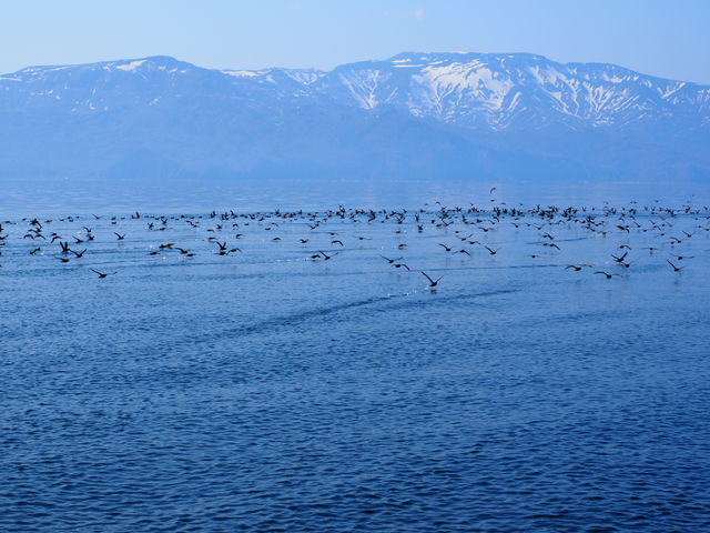 ���E�ł������ł�������Ȃ���_�L����Вm���l�C�`���[�N���[�Y