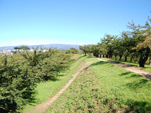 �ܗŊs��_�ܗŊs��