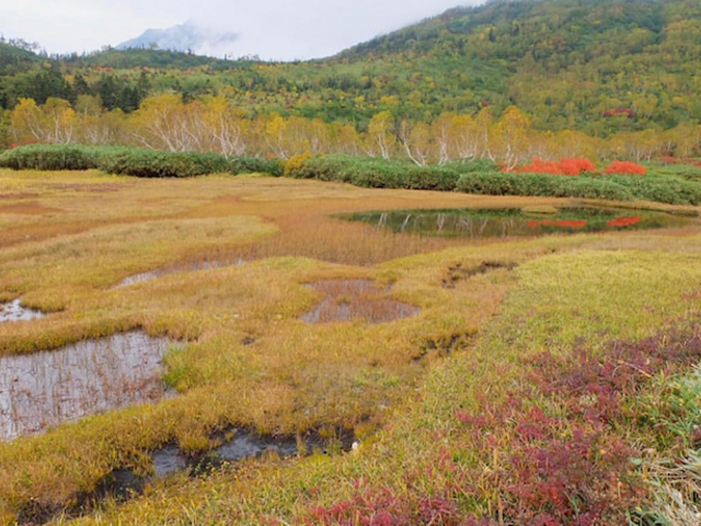 ������Ǝ₵��_�̒r���R��