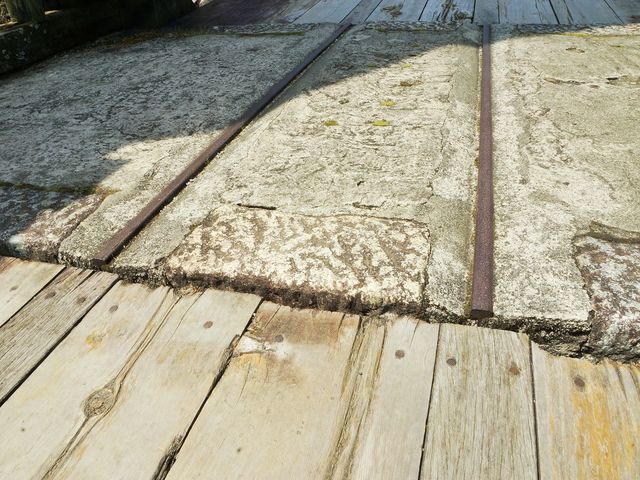 ���̒����Ɏ��މ^���p�̃g���b�R�̃��[��_���