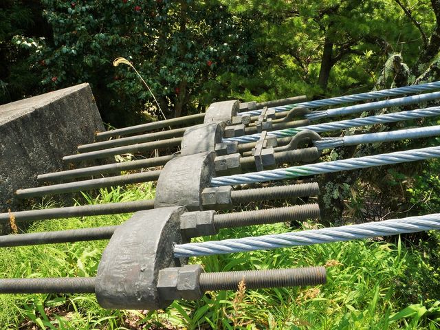 ���_���