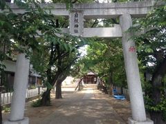 ひーちゃんさんの日枝神社（埼玉県草加市）の投稿写真1