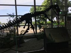 farañh[21ւ̓eʐ^2