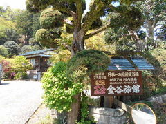 �g�V���[����̐�l���C�@���J���قւ̓��e�ʐ^1