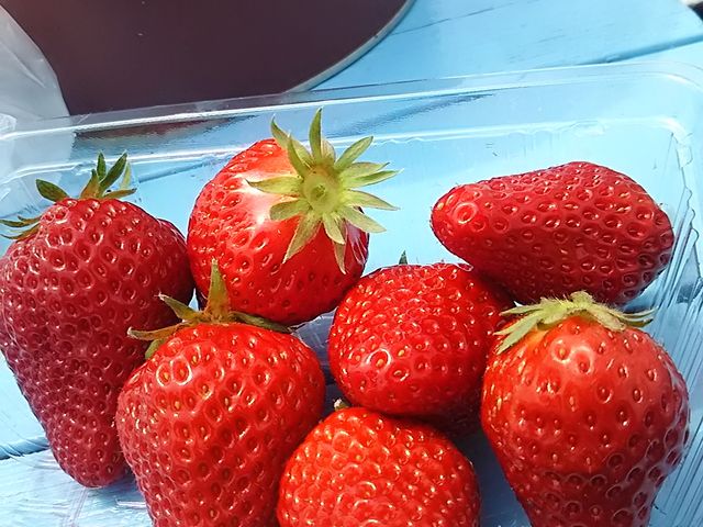 �傫���̂���R����܂���_�t���[�c�K�[�f����܂���