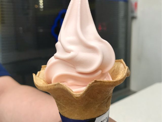 T28̃~jXgbv aIsbNʂX̓eʐ^1