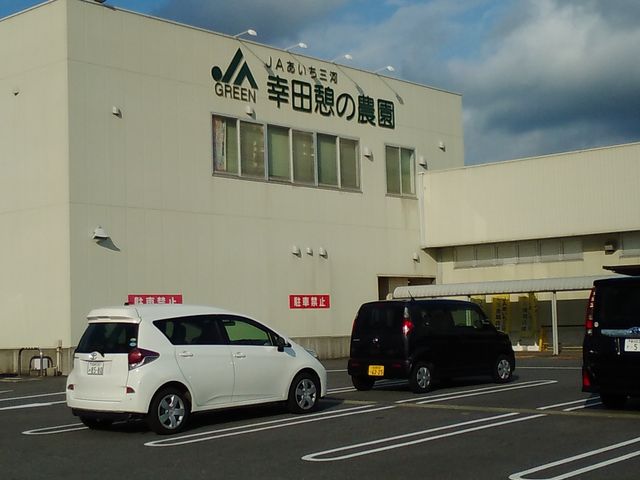 �O��_�K�c�e�̔_��